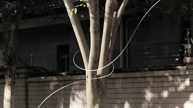 TREE BATON